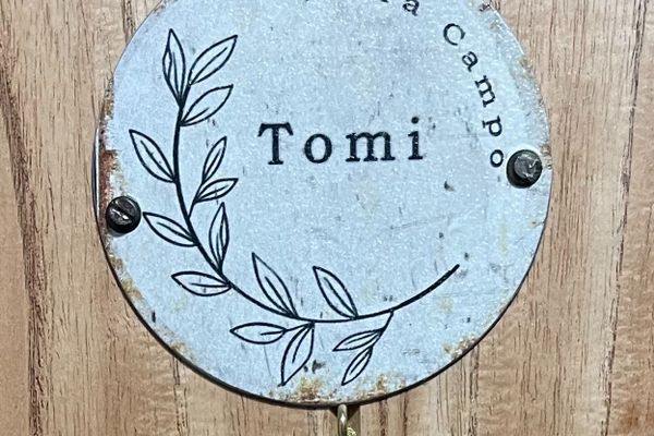 Habitación Doble Deluxe