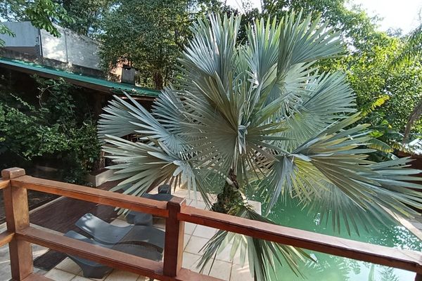 Habitación Suite Vista Selva