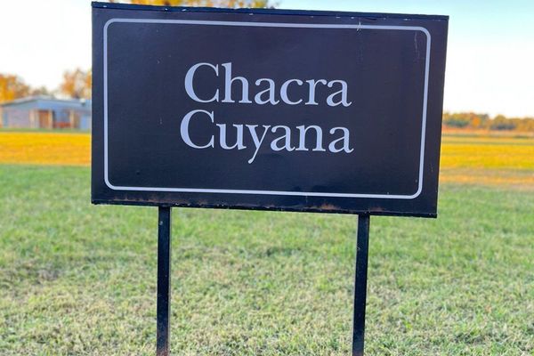 CHACRA CUYANA