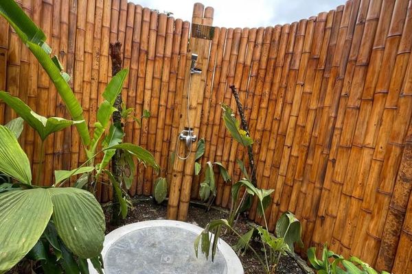 Cabaña Tangara Real