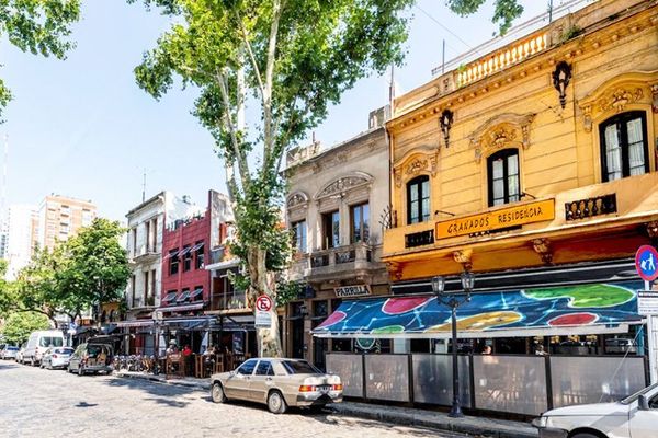 Cama en habitación compartida mixta de 6 camas 102