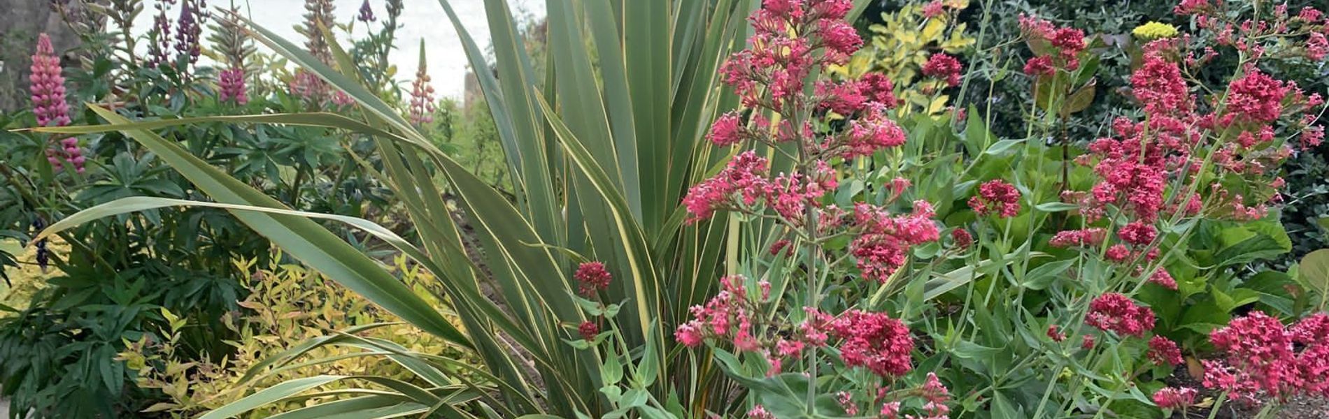 Costa Brava Apart Hotel & Suites