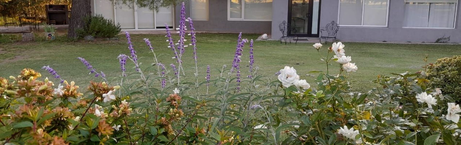 El Campo Departamentos