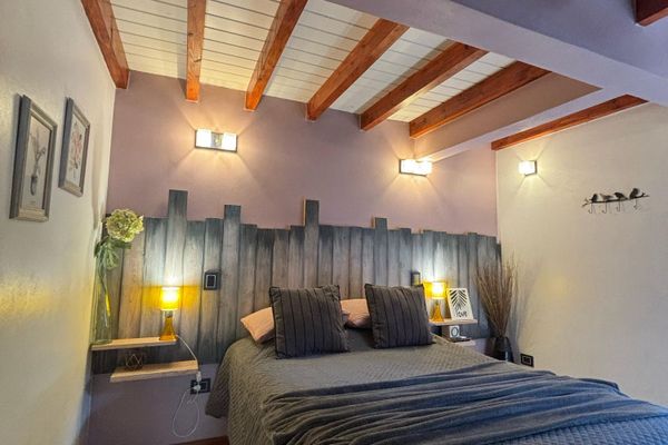 Dos ambientes en una planta