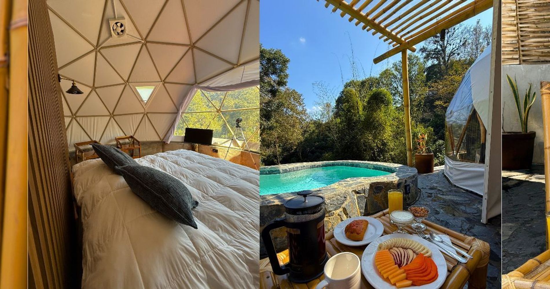 Alma Glamping Xalapa-Coatepec