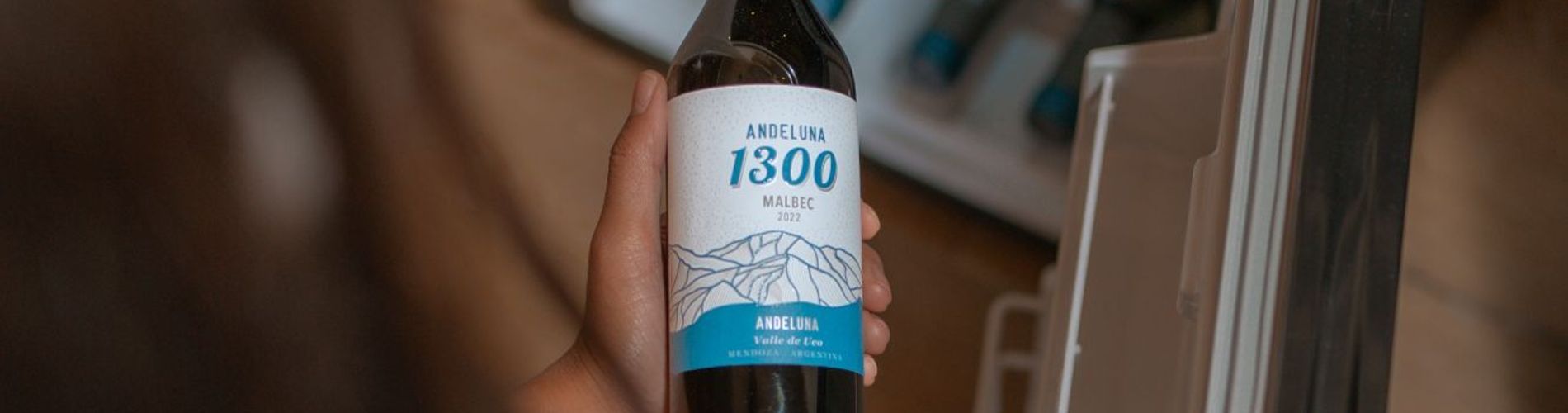 Andeluna Winery Lodge