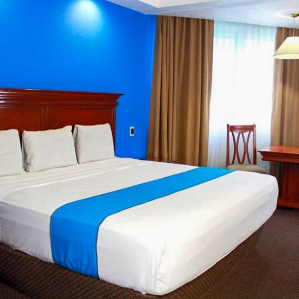 Hotel Lois Veracruz