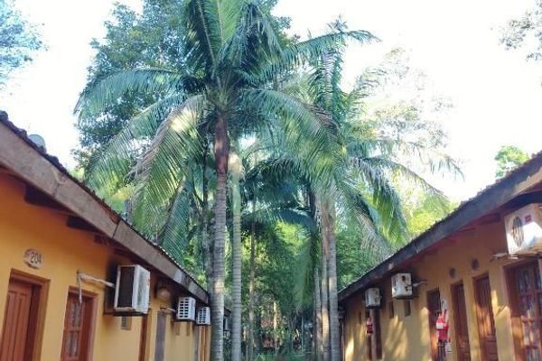 Habitación Estándar