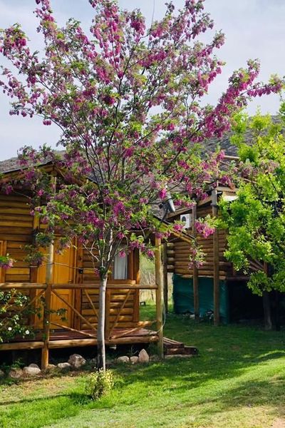 Cabañas Estación del Lago