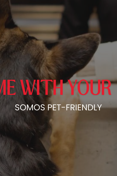 Hotel Windsor Mendoza