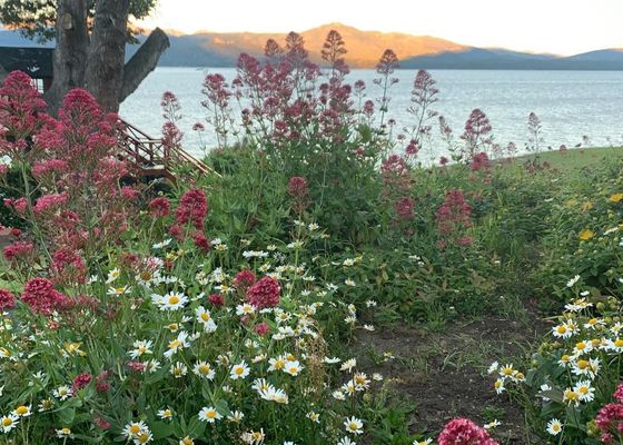 Costa Brava Apart Hotel & Suites