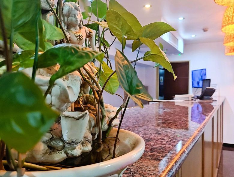 Nuevo Hotel el Cortijo