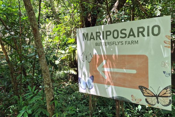Glamping Selva Iguazú