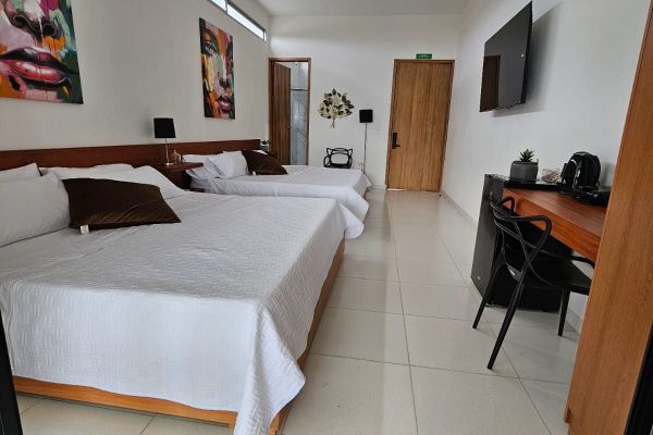 APARTAMENTO FAMILIAR DOS HABITACIONES