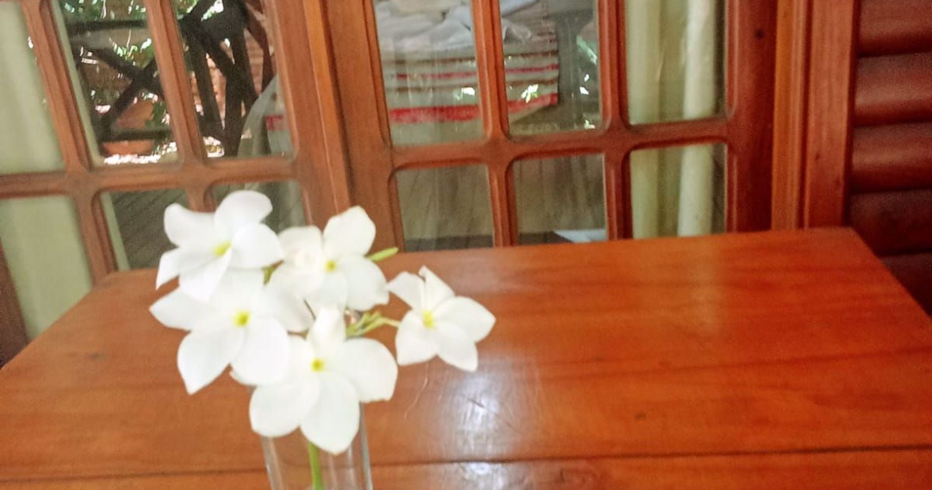 Paseo del Yacaratiá