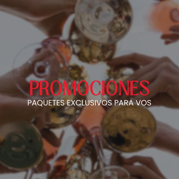 Hotel Windsor Mendoza