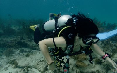 YellowHomeProvidence - DESCUBRE EL FONDO DEL MAR