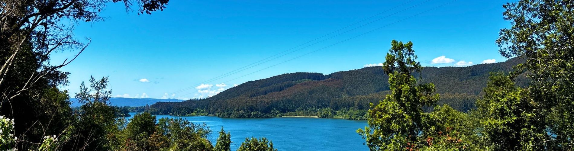 Complejo Turístico La Rueda del Chucao