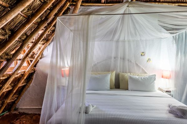 King económico, Hotel Casaejido, Playa del Carmen, México