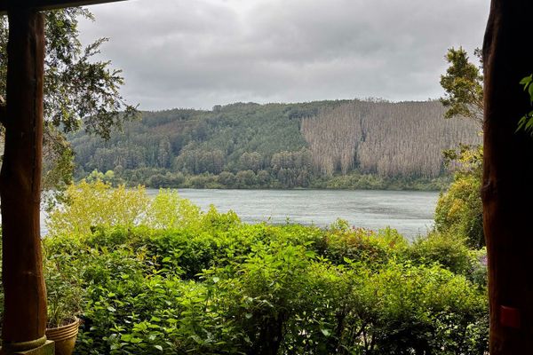 Departamento Colibri