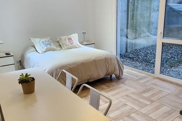 Orquidea (retamar 1280)