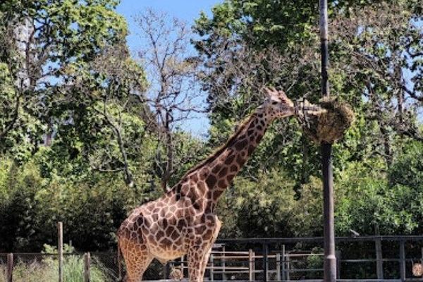 Depto monoambiente en Cañitas, Palermo [Ravi 7C]