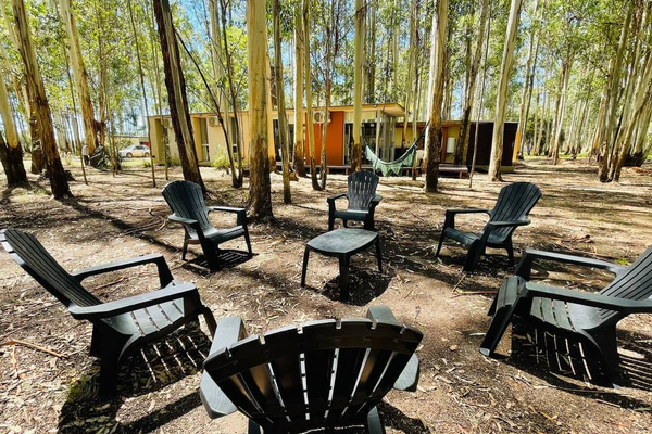 EL BOSQUE