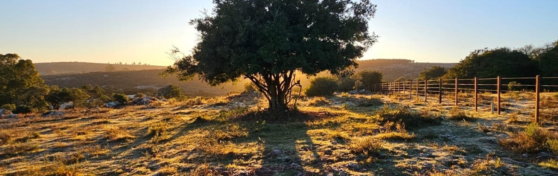 El Secreto en las Sierras