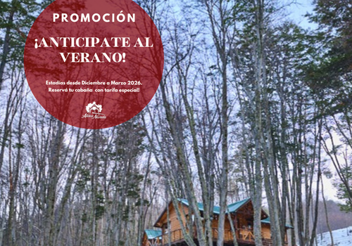 ¡PROMO VERANO EN USHUAIA!