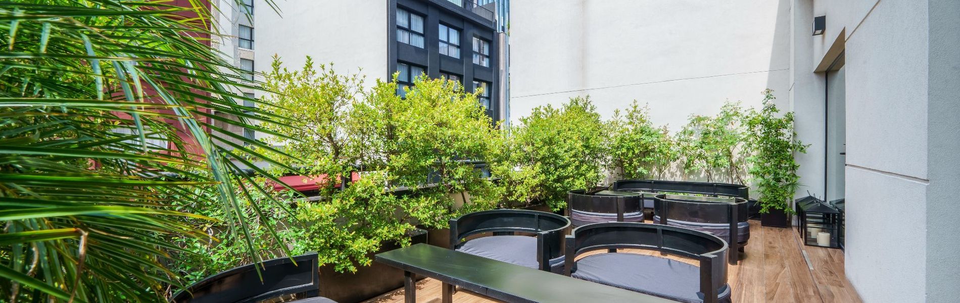 TERRAZA