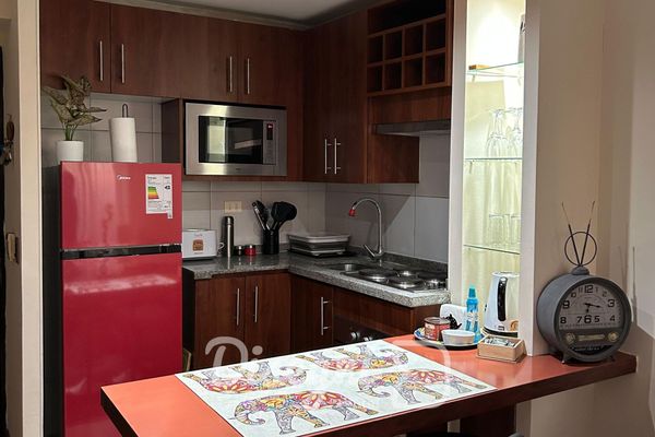 Disegni 17 - Departamento Santiago, Cercano a Metro y Cultura