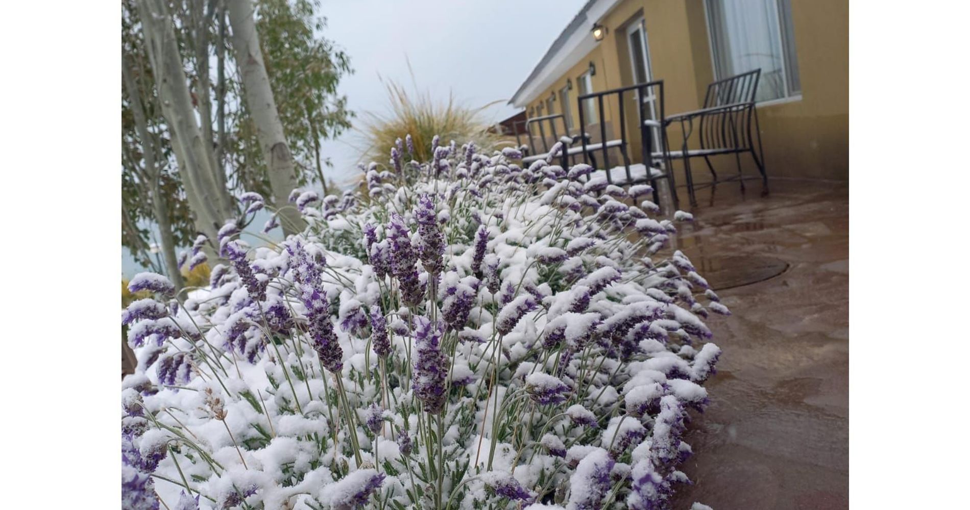 La Posada del Dinosaurio