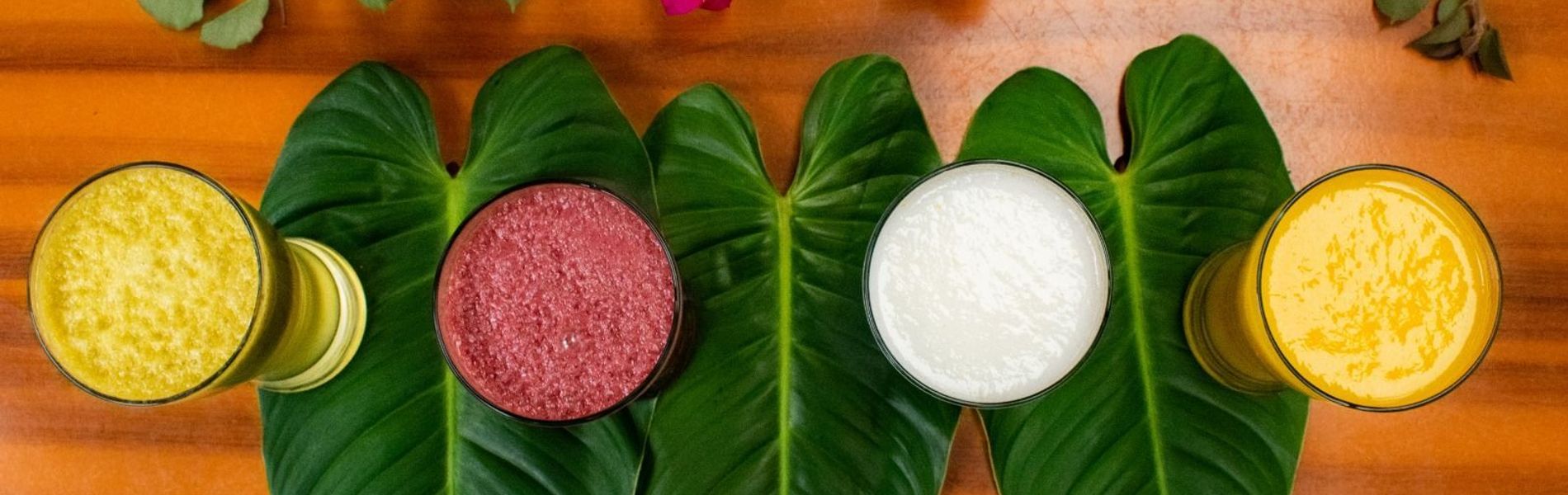 EcoTermales San Vicente S.A.