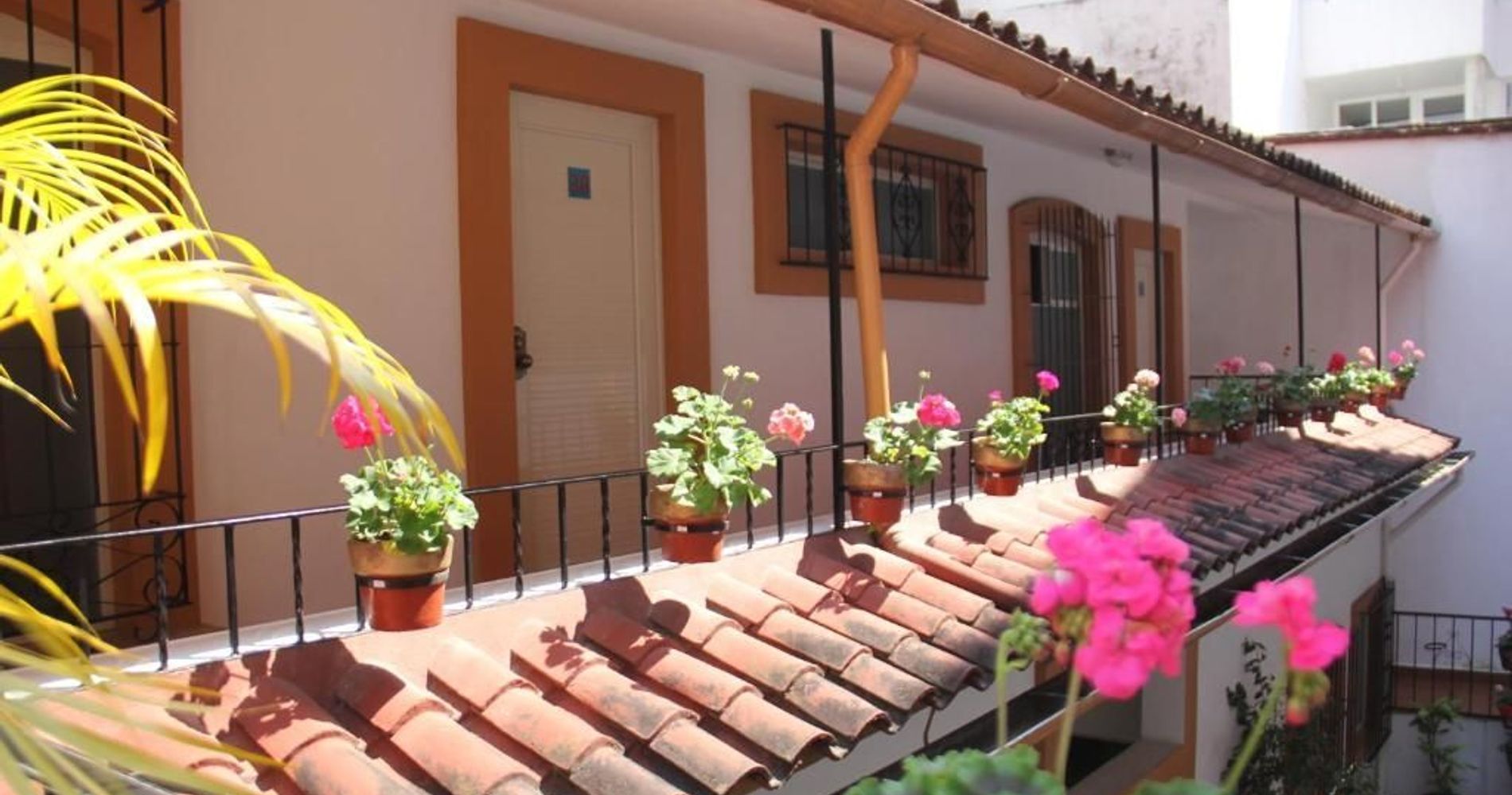 Rolovi Hotel Xalapa Centro