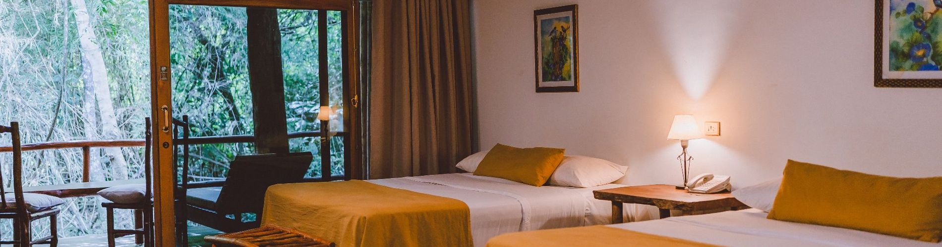 The Jungle Village Lodge