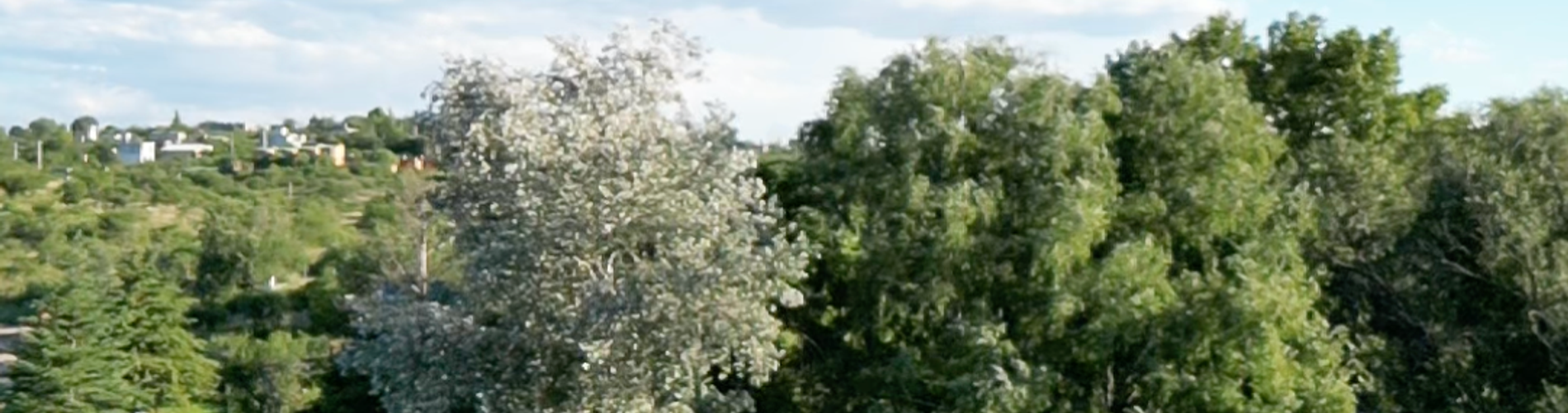 Native Costa Rican Glamping