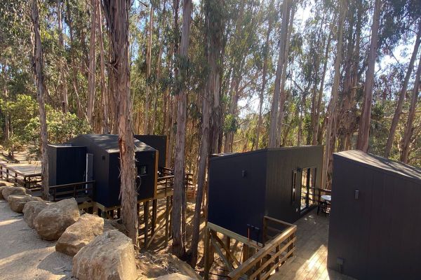 Loft doble Vista Bosque