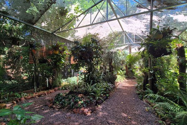 Botanica The House Experience