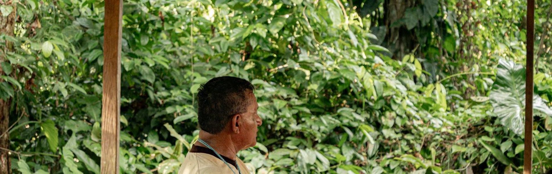 Heliconia Amazon River Lodge