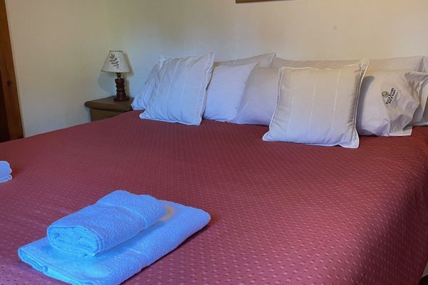 Cabaña LA ARAUCARIA