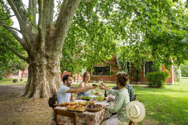 Día de campo Gaucho