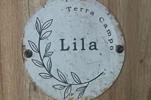 Habitación Doble Estándar