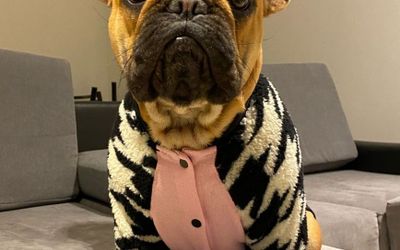 HotelRiberasSanNicolas - Somos Pet Friendly