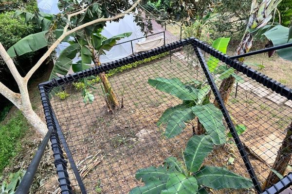 Habitación Domo Deluxe