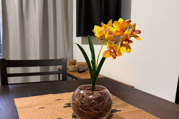 Departamento 1 dormitorio con balcón