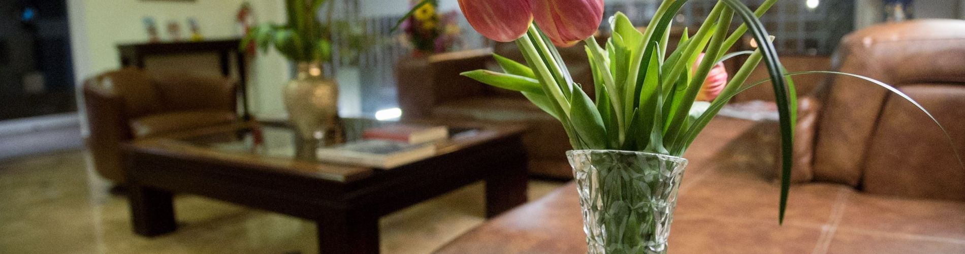 Andesmar Hotel & Suites