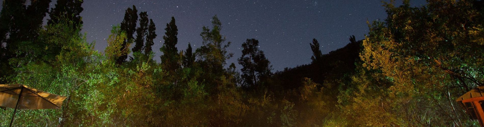 Sleeping Beauty Cabins