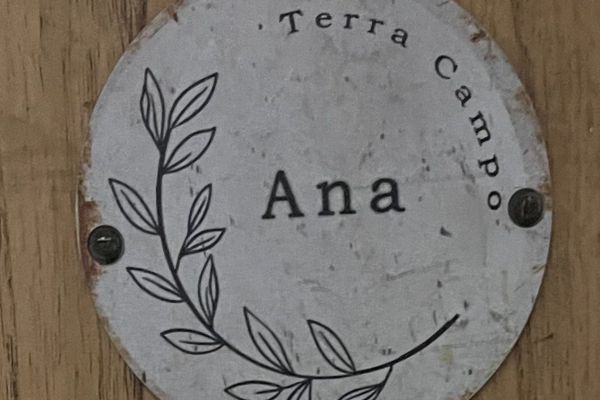 Habitación Triple Deluxe