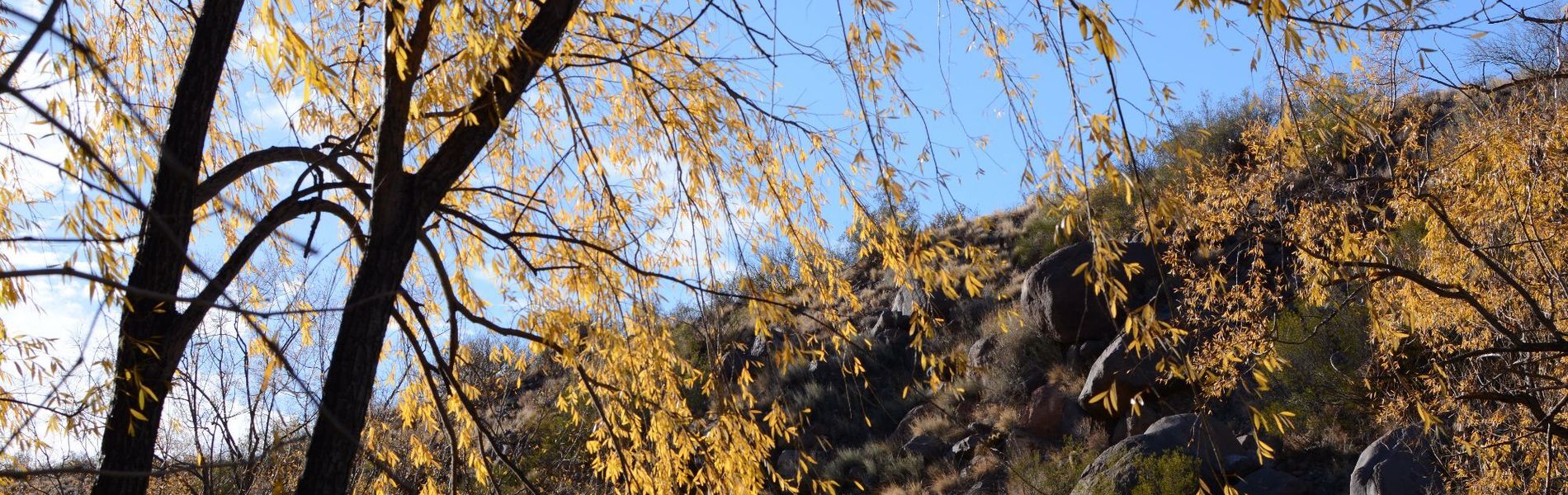 Cabañas Carü Leufu