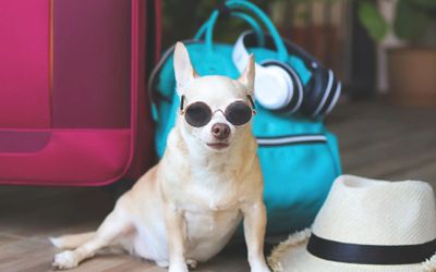 Aguilablancahotel - Mascotas Permitidas